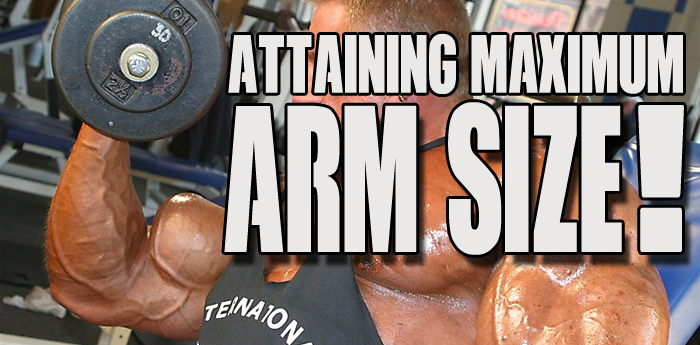 Attaining Maximum Arm Size Workout
